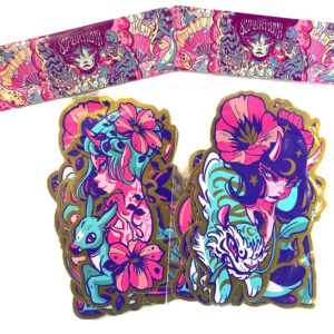 Pack de Stickers Super Nova - Catmynt